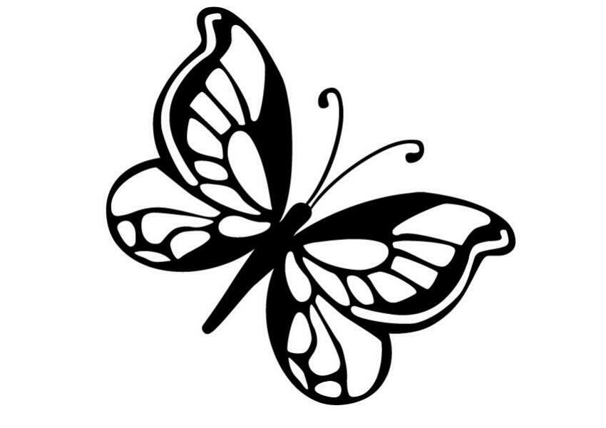 BUTTERFLY coloring pages - Small Butterfly