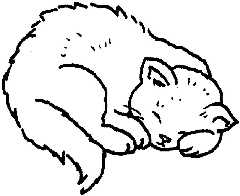 Cats and Kitten Coloring Pages 65 | Free Printable Coloring Pages 