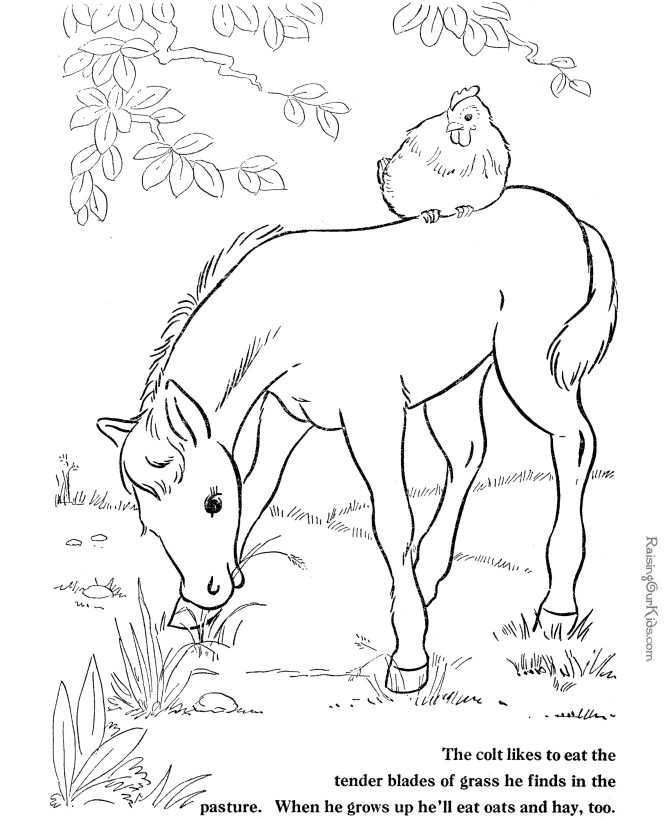 farmyard with horses Colouring Pages
