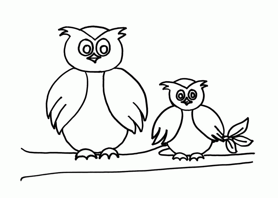 Cute Owl Coloring Sheets