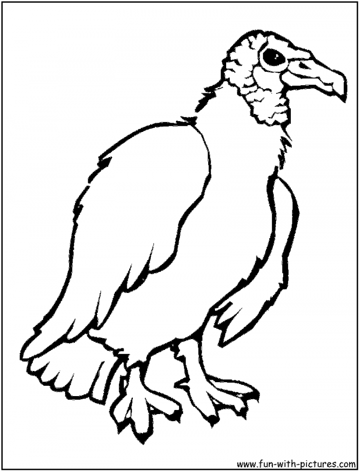 Vulture Coloring Page For Kids