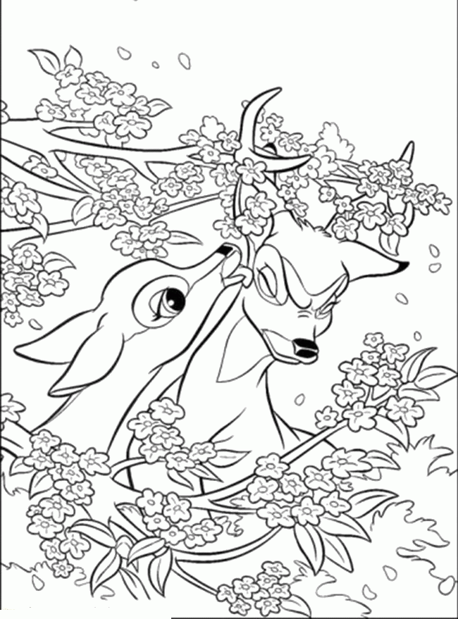Surprised To See Faline Suddenly Appeared Coloring Pages - Bambi 