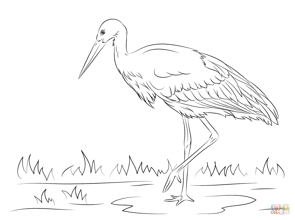 White Stork coloring page | Free Printable Coloring Pages