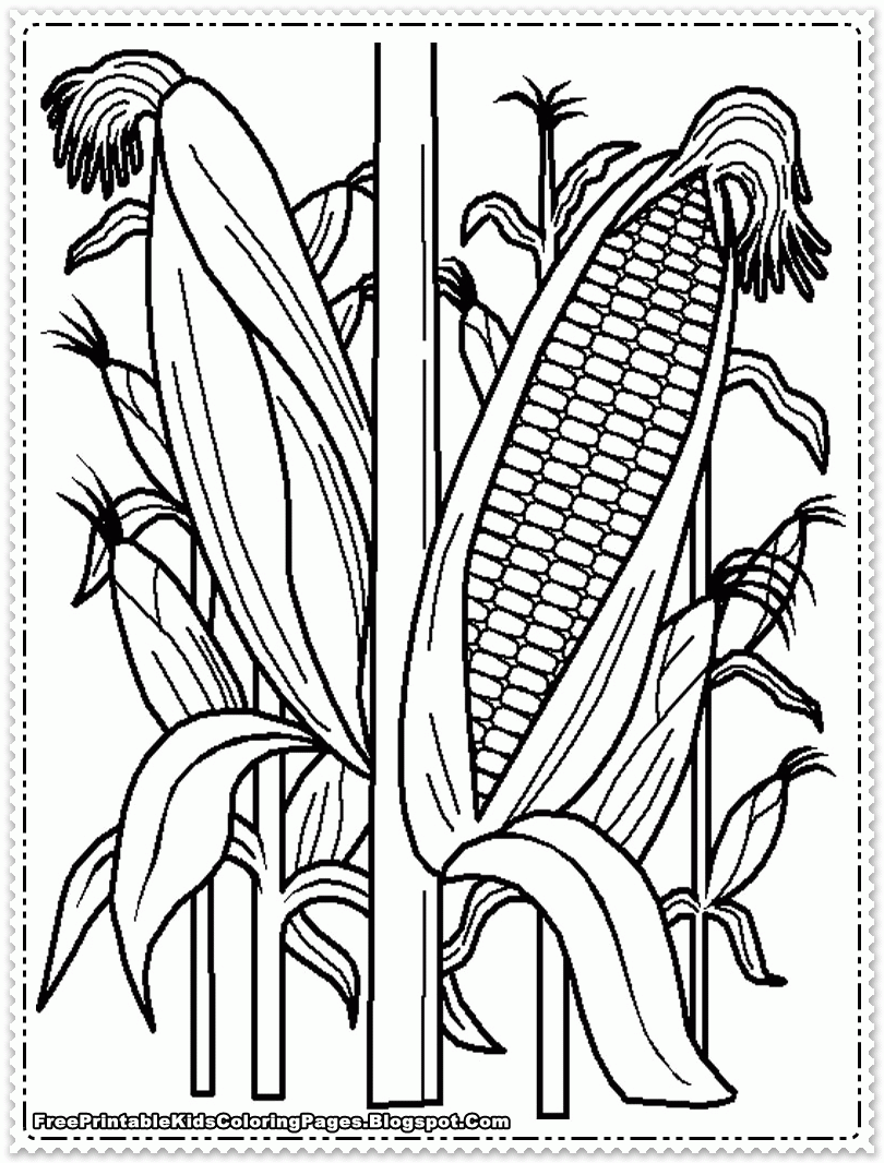 Corn Coloring Pages Printable Coloring Home
