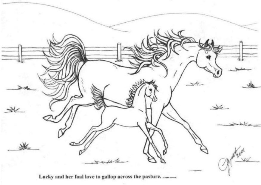 Free Printable Horse Coloring Pages For Kids
