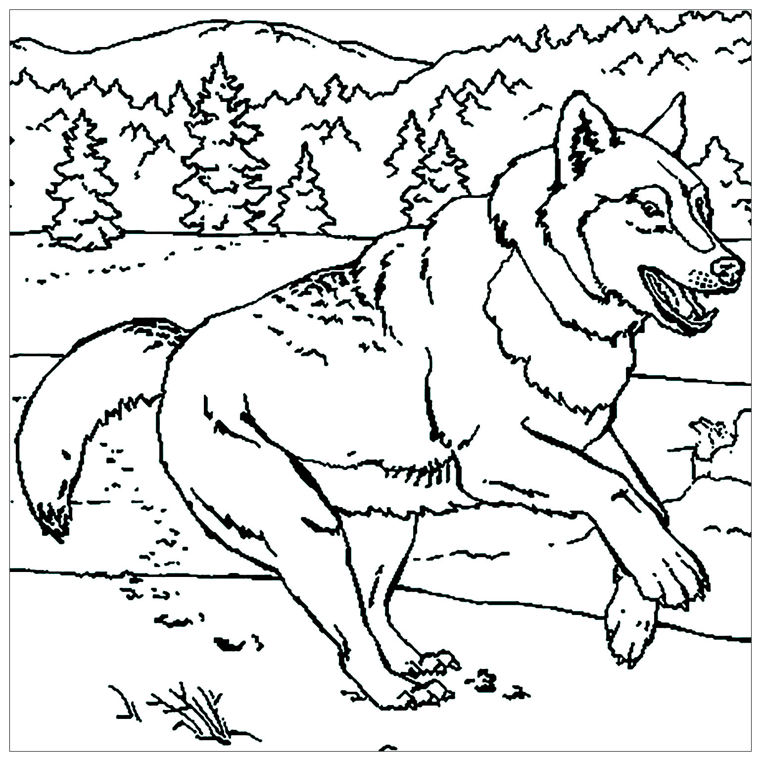 Wolf Printable Coloring Pages - Novocom.top