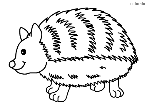 Forest Animals Coloring Pages » Free & Printable » Forest Animals Coloring  Sheets - Coloring Home