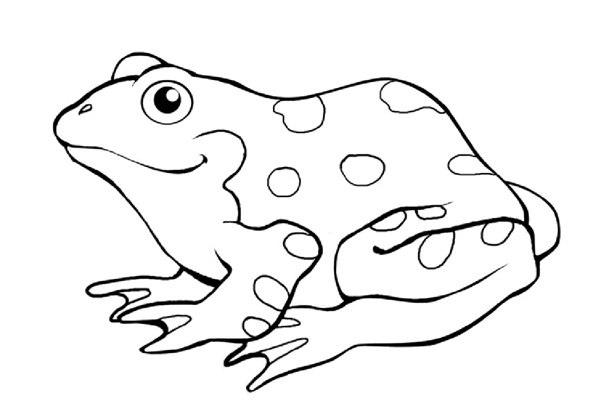 Poison-dart Frog Coloring Page - Coloring Home