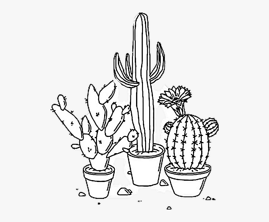 Tumblr Png Coloring Pages - Aesthetic Transparent Black And White ...