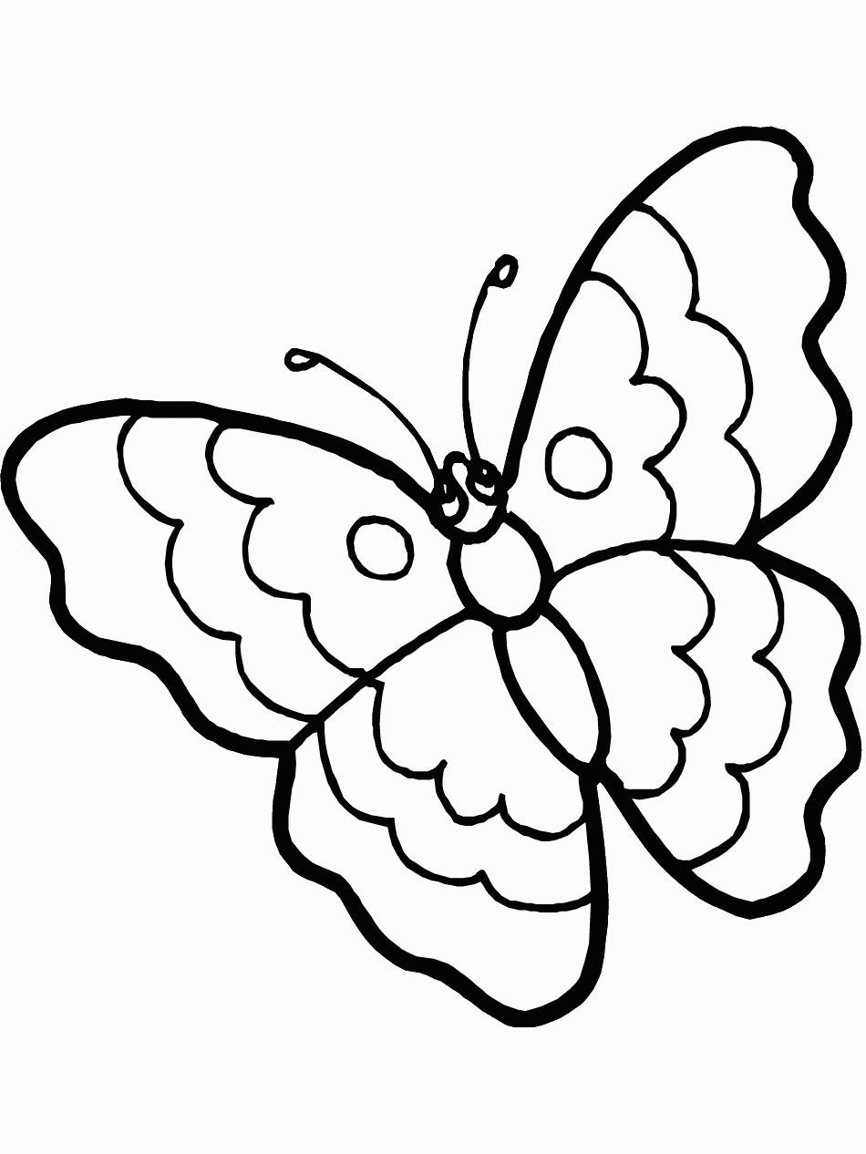 20 Pics Of Cartoon Butterfly Coloring Pages   Coloring Page ...