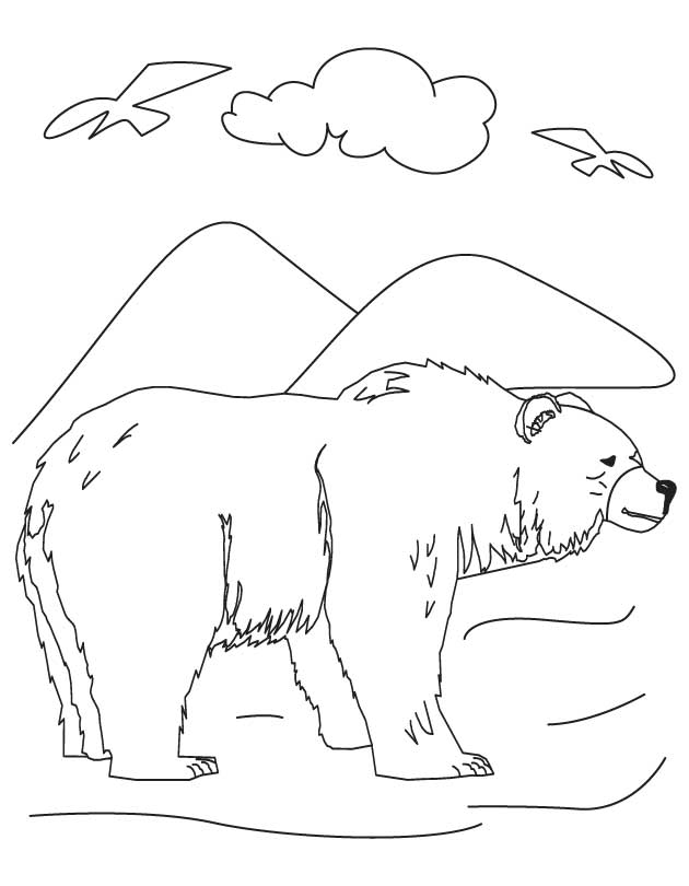 Download 263+ Mammals Bears American Black Bears Coloring Pages PNG PDF