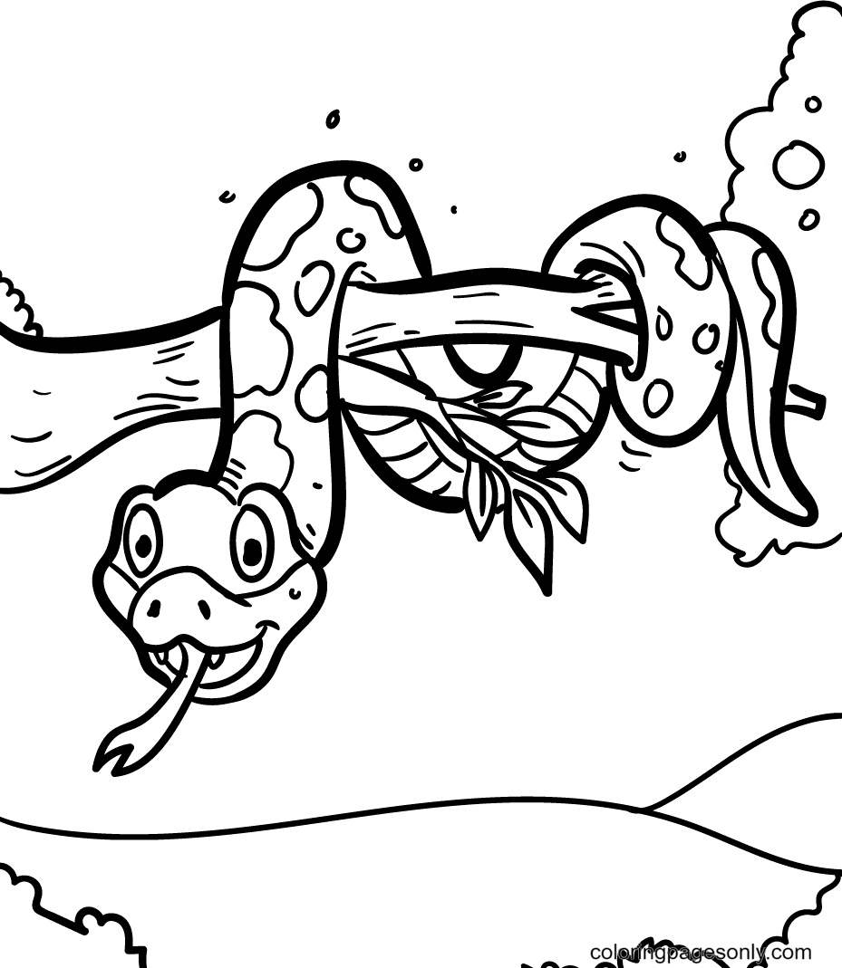Snake on a Tree Branch Coloring Pages - Snake Coloring Pages - Coloring  Pages For Kids And Adults