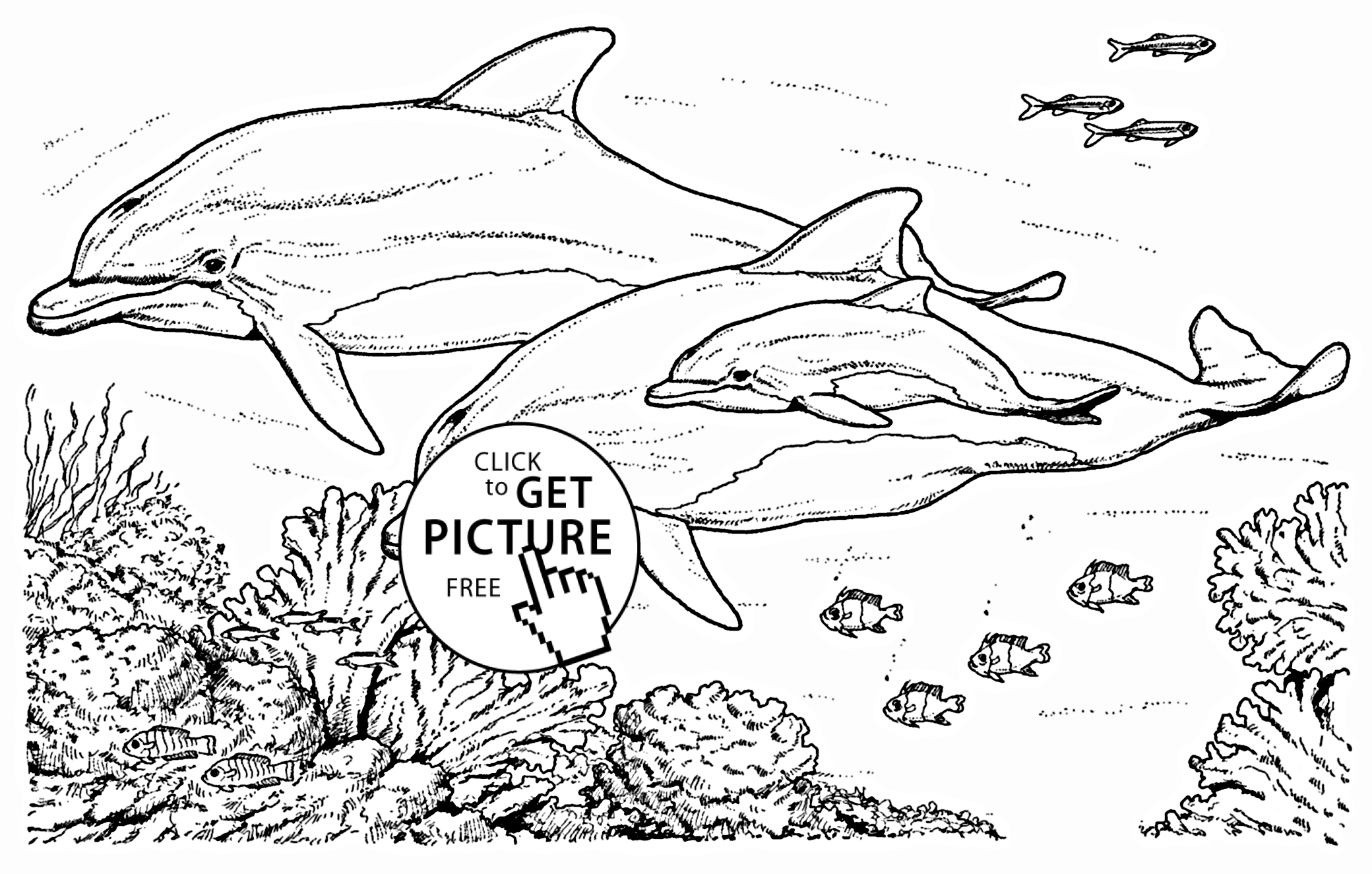 Realistic Dolphins Coloring Page For Kids, Animal Coloring Pages ...