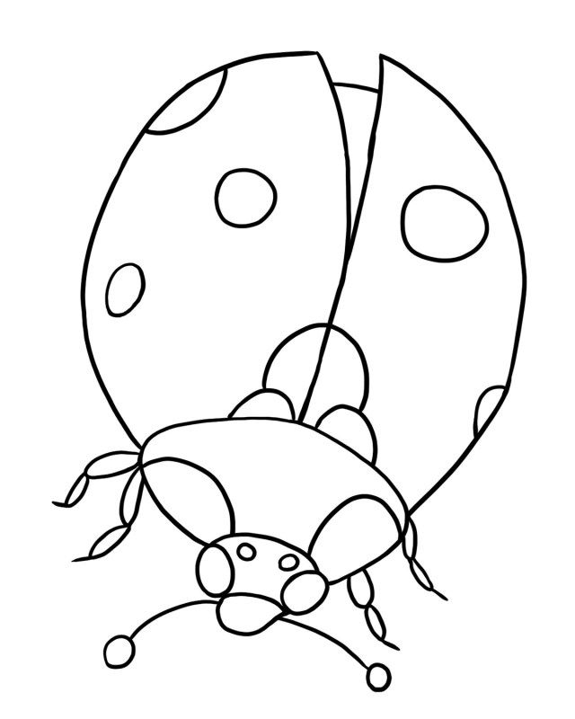 30+ Exclusive Picture of Ladybug Coloring Page - albanysinsanity.com | Bug  coloring pages, Ladybug coloring page, Insect coloring pages