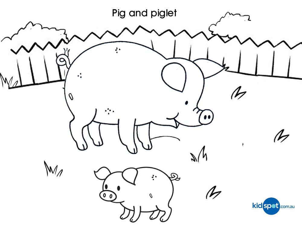 Farm Animals - Colouring Pages - Pig | Coloring pages, Farm animal coloring  pages, Pig coloring