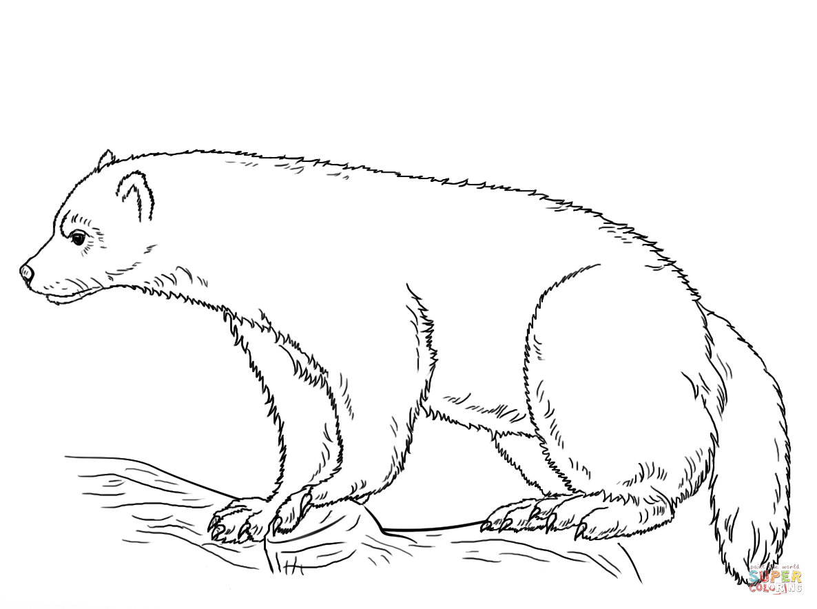 Wolverine coloring pages | Free Coloring Pages
