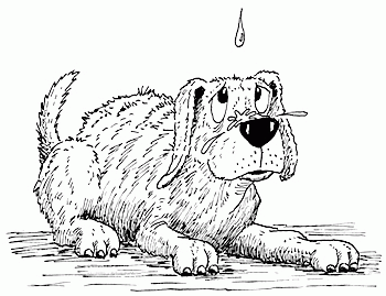 Hank The Cowdog Coloring Page