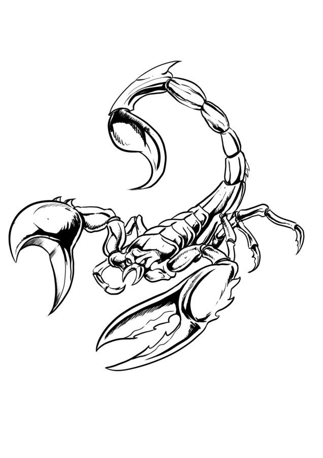 ▷ Scorpion: Coloring Pages & Books - 100% FREE and printable!