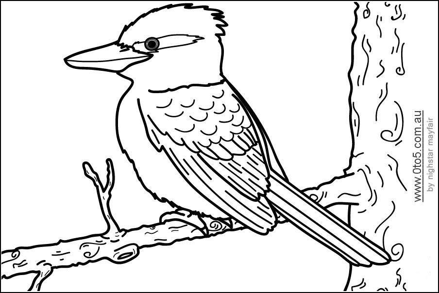 Printable template - kookaburra