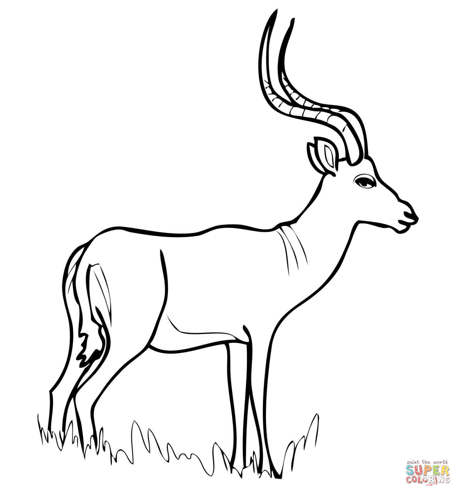 African Antelope Impala coloring page | Free Printable Coloring Pages