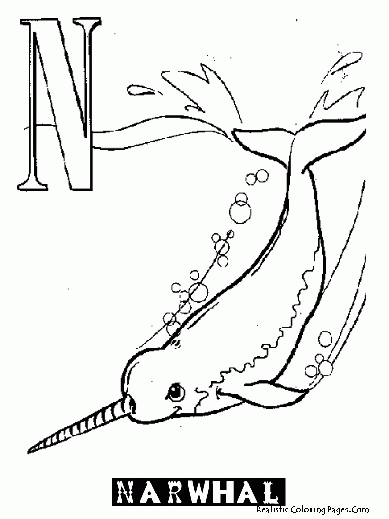 N Letters Alphabet Coloring Sheet | Realistic Coloring Pages