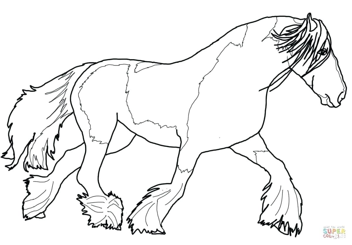 realistic horse coloring pages for adults – mayhemcolor.co