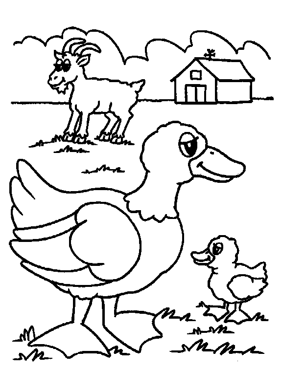 Old Macdonald Had A Farm Coloring Pages. Activities For The Book ...