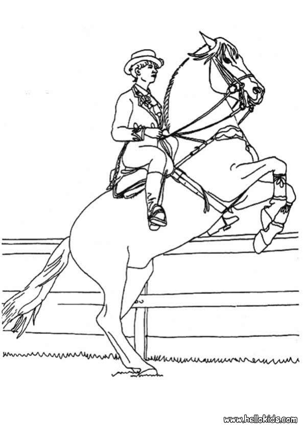 HORSE coloring pages - Rearing horse