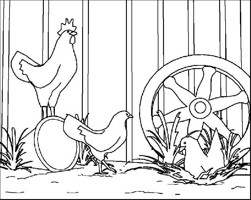 Coloring Page - Chicken coloring pages 12