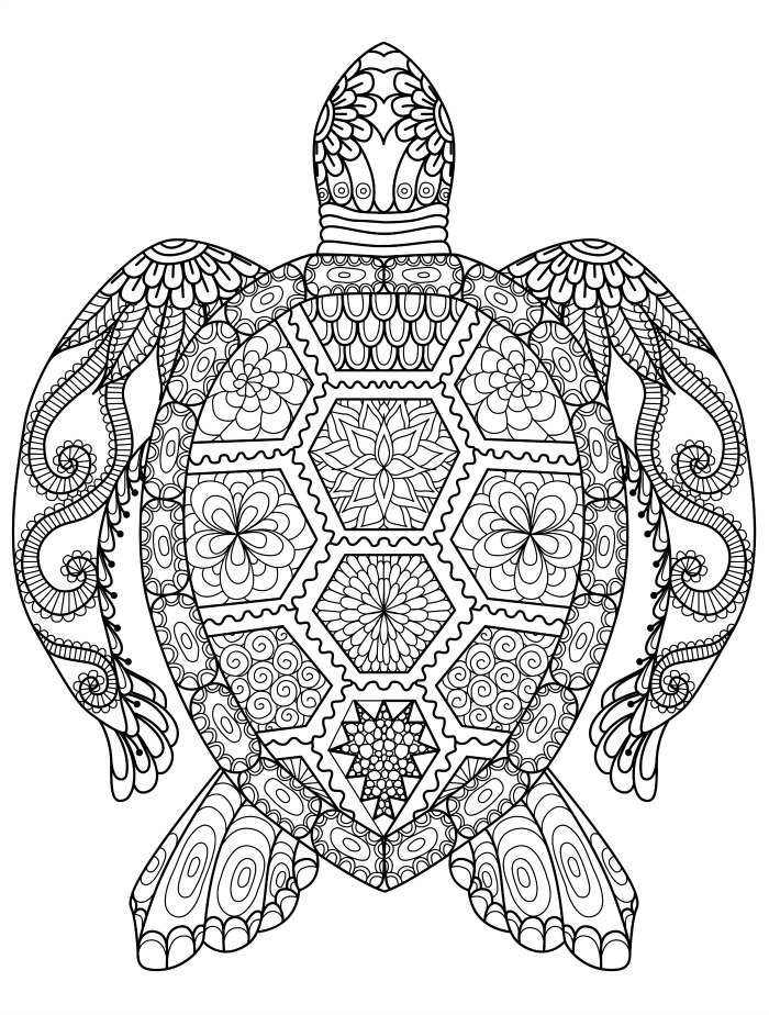 Detailed Turtle Coloring Page For Adults