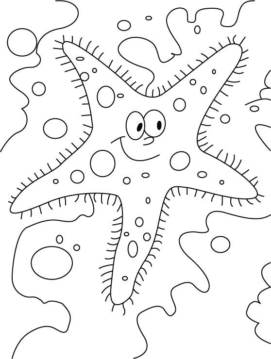Glaring starfish coloring pages | Download Free Glaring starfish ...