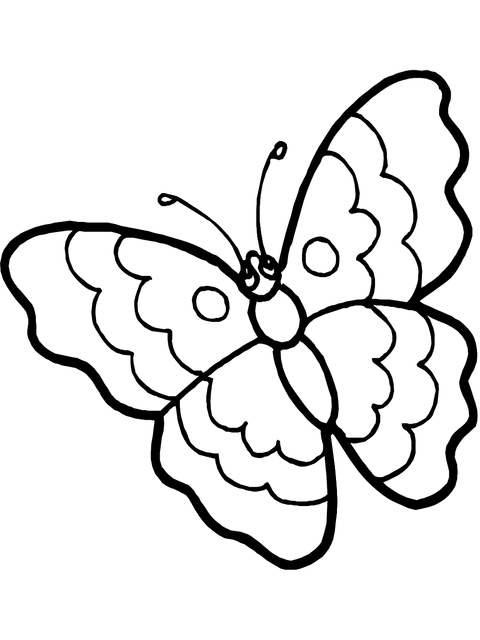 Coloring Butterfly | eretdvrlistscom