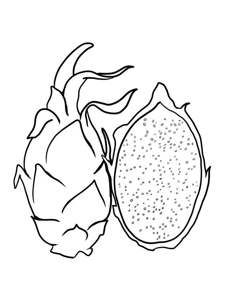 dragon fruit coloring pages to print free | Fruit coloring pages, Fruit  coloring, Fruit coloring page