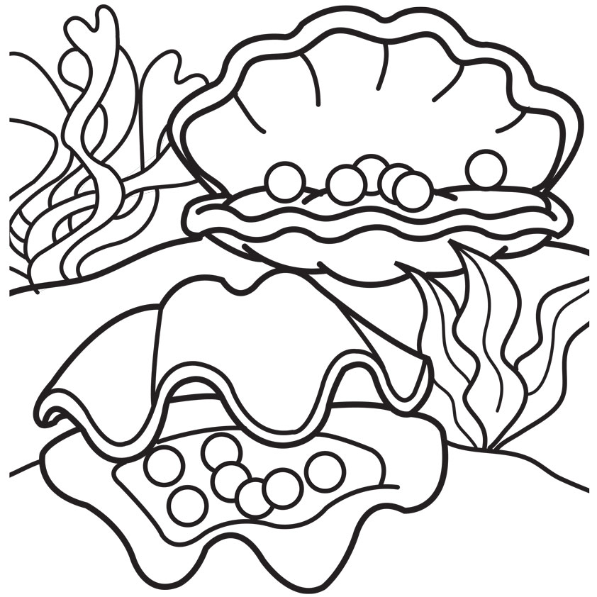 Clam with pearl coloring pages