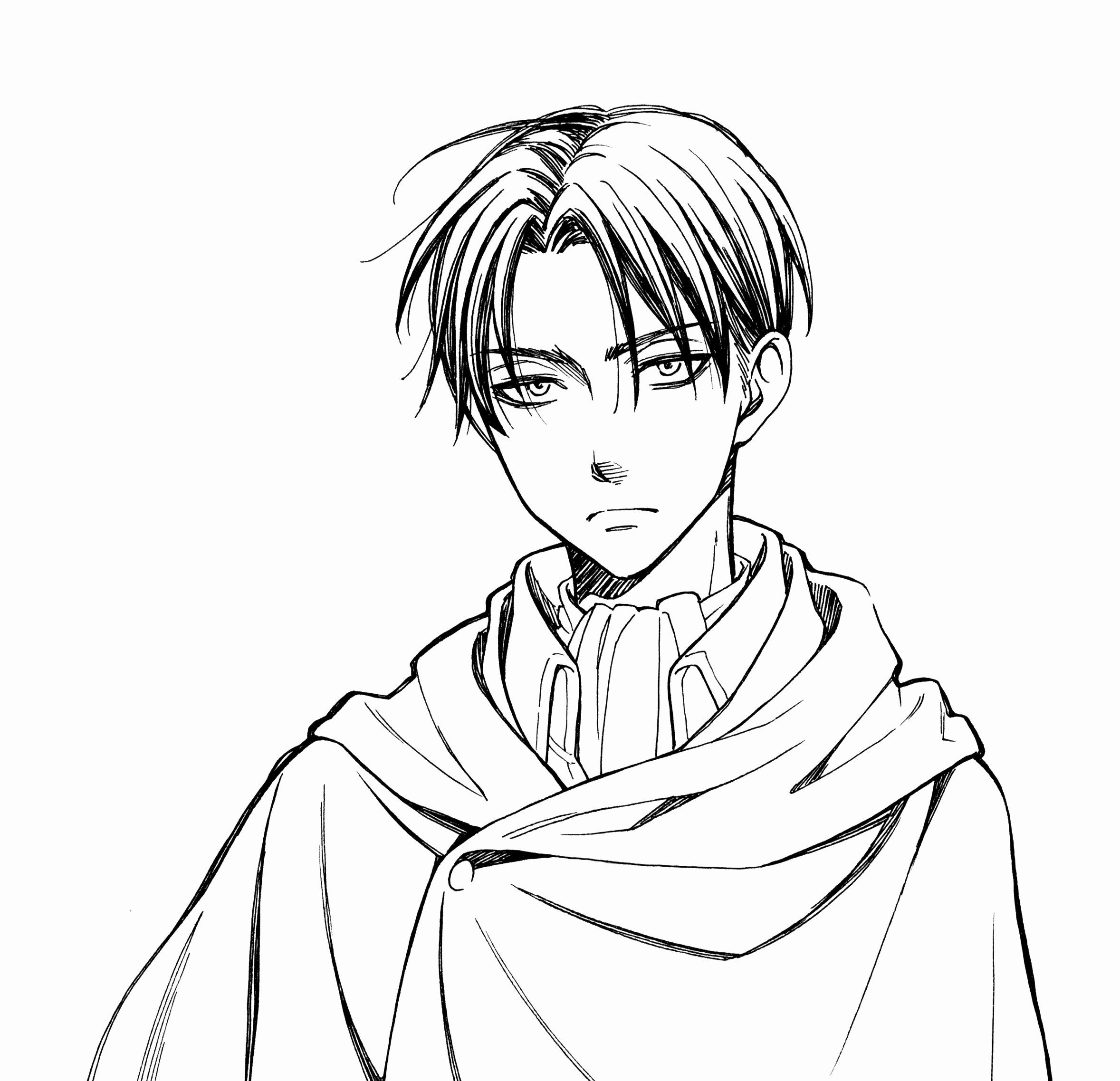 Attack On Titan Coloring Page Best Of Levi attack On Titan Image Zerochan  Anime | Attack on titan levi, Levi ackerman, Attack on titan