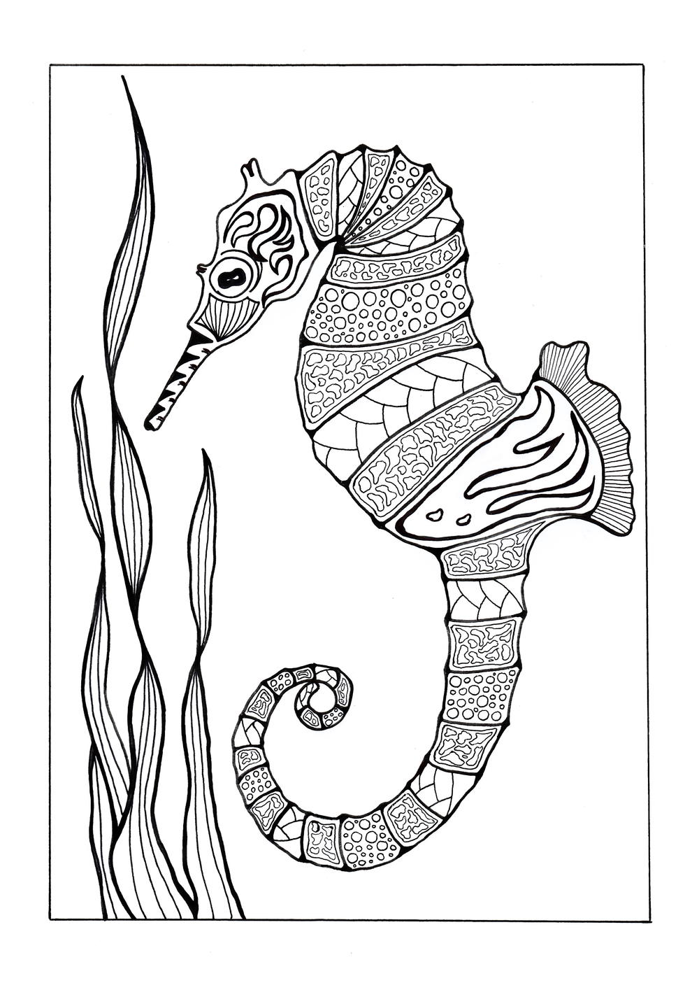 Colorful Seahorse Adult Coloring Page | FaveCrafts.com