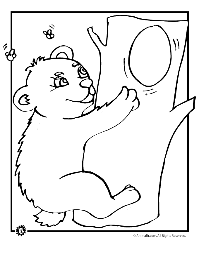 Baby Bear Coloring Page | Woo! Jr. Kids Activities : Children's Publishing