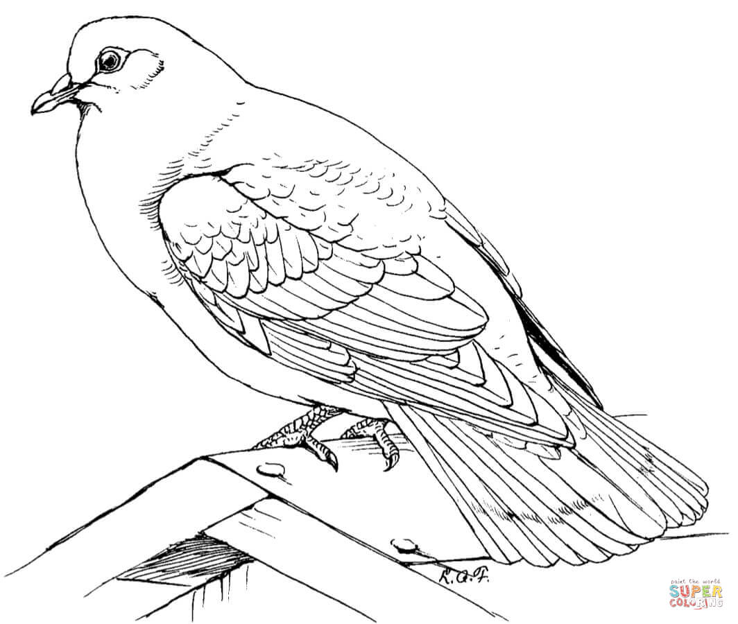 Doves coloring pages | Free Coloring Pages