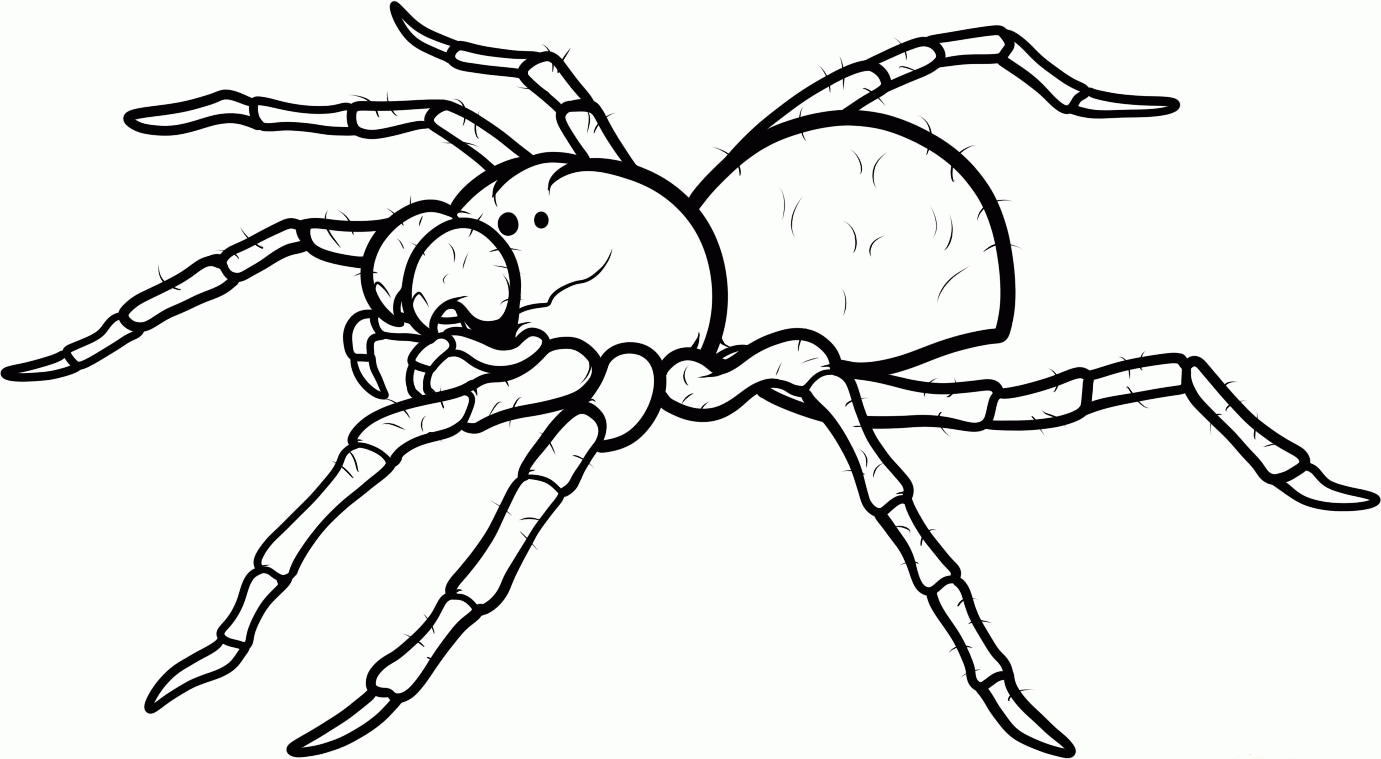 Spider Coloring Pages Printable - Coloring Page Photos