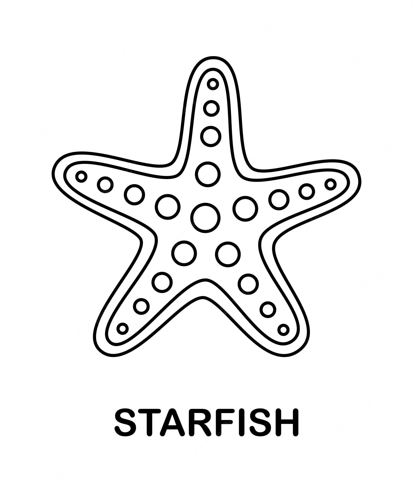 Premium Vector | Coloring page with starfish for kids