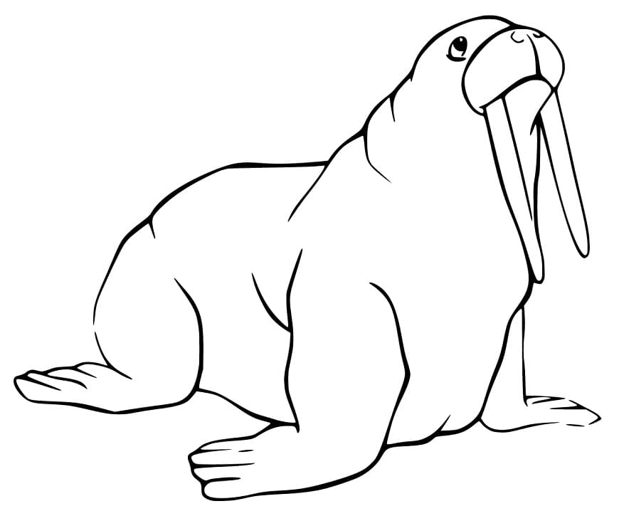 Walrus 7 Coloring Page - Free Printable Coloring Pages for Kids