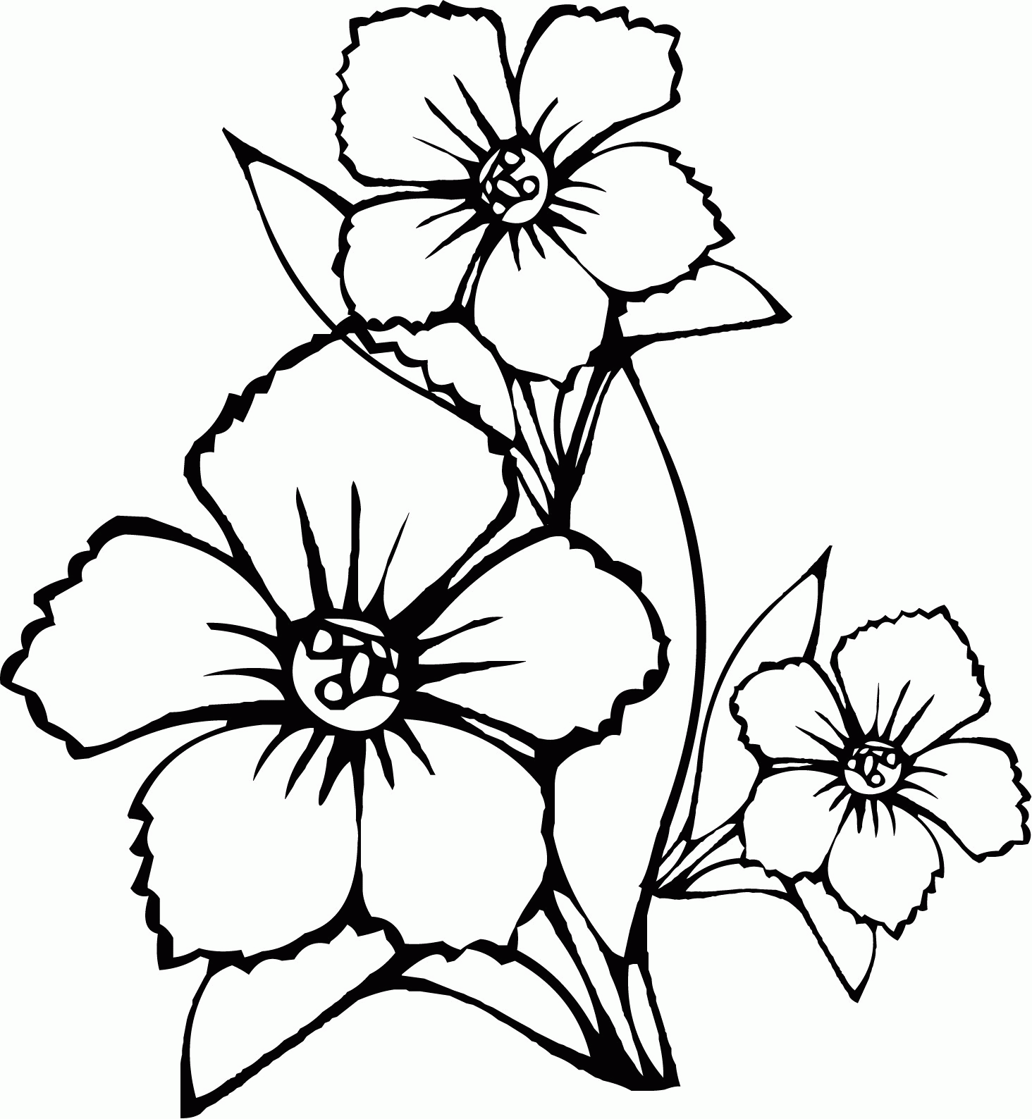 flower-coloring-pages-for-girls-10-and-up-2.jpg