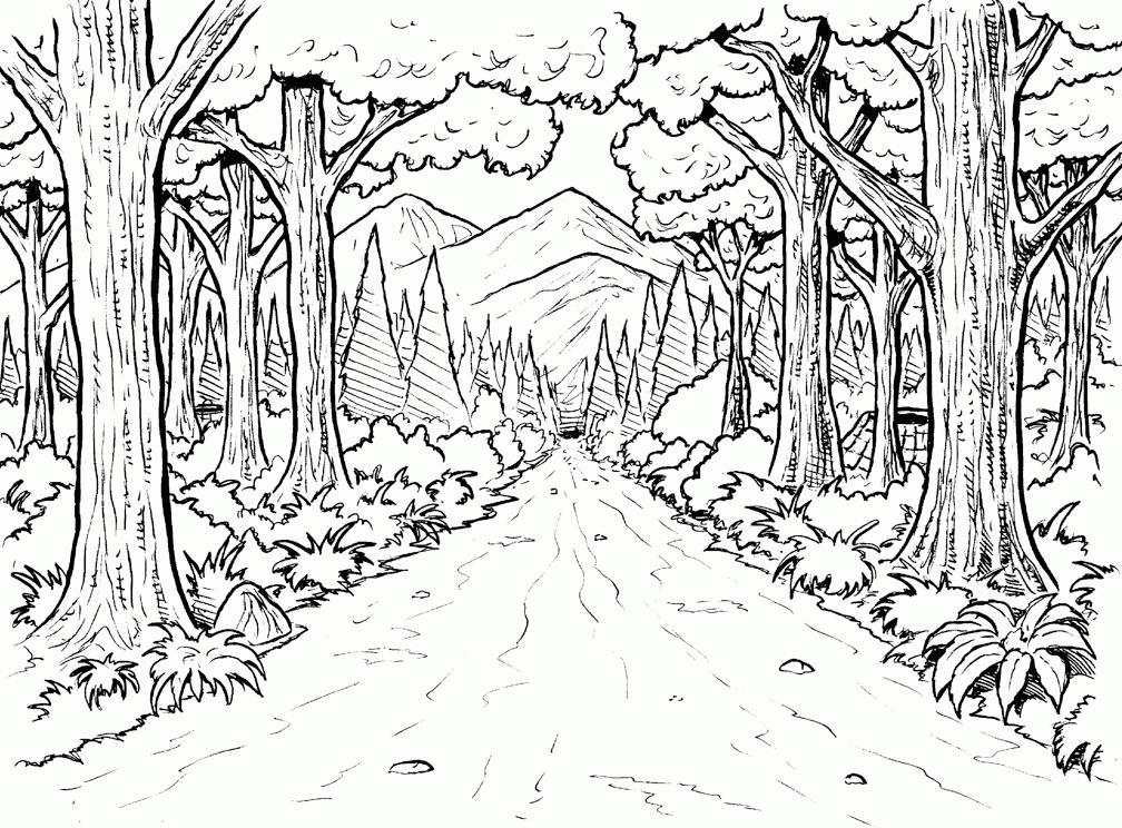 Coloring Pages Of Forest Scene - High Quality Coloring Pages