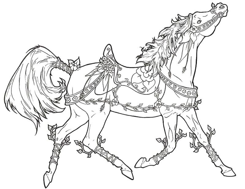 adult coloring pages horses  coloring home