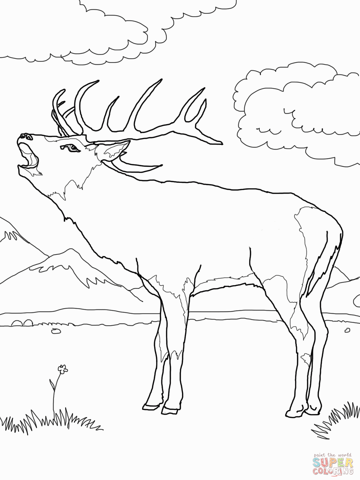 Mule Deer Coloring Page   Coloring Home