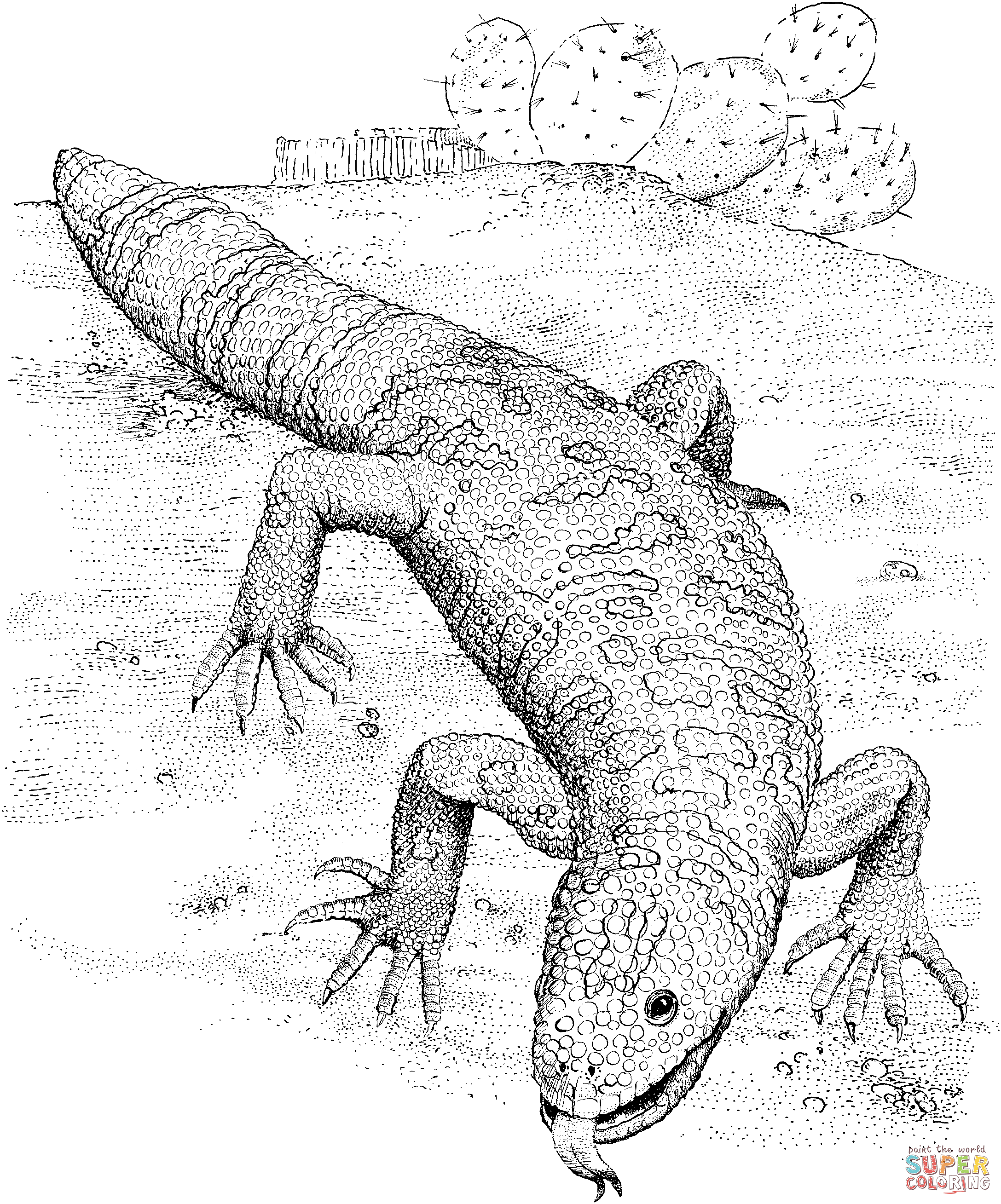 Gila Monster coloring page | Free Printable Coloring Pages