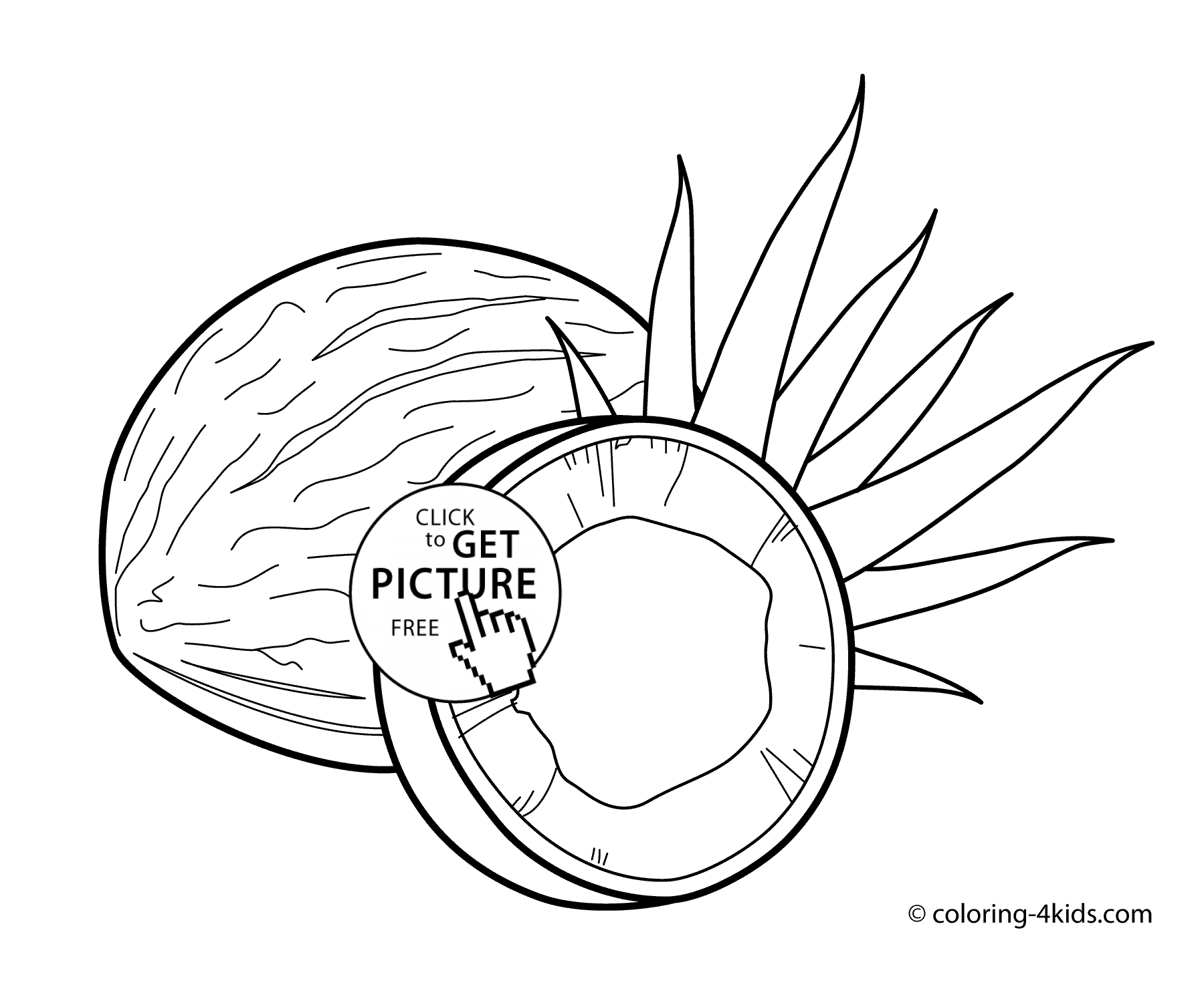 Coconuts fruits coloring pages for kids, printable free | coloing ...