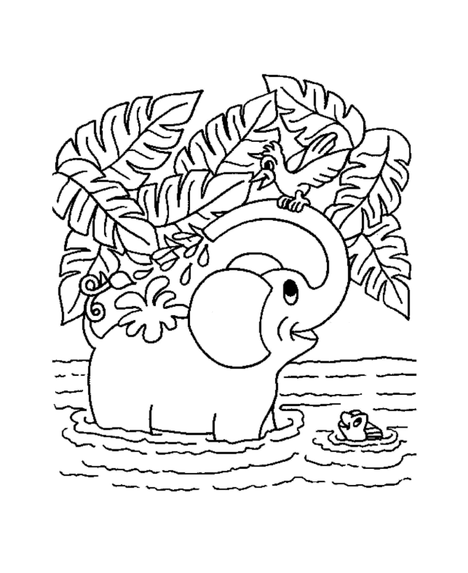 Cute Safari Animal Coloring Pages Images & Pictures - Becuo