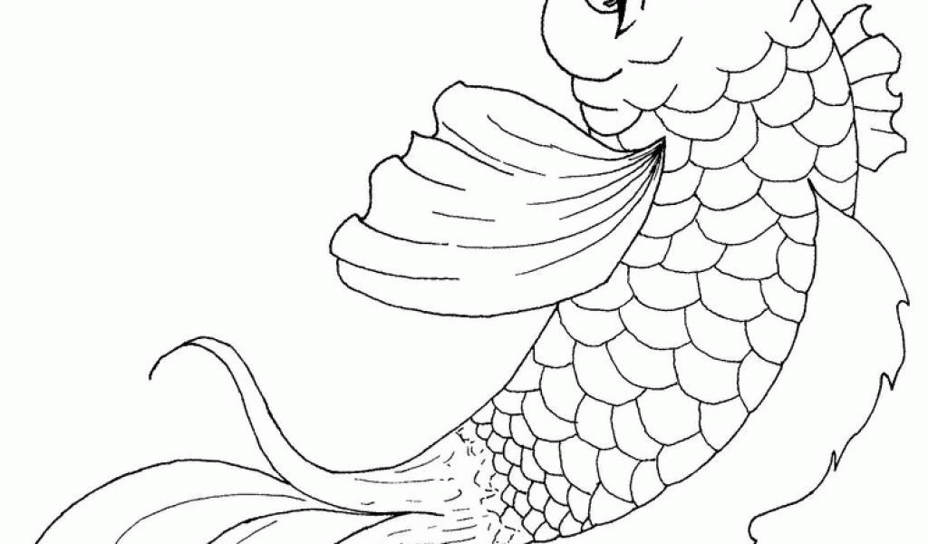 Soulmetalpodcast: Scales In The Fish Coloring