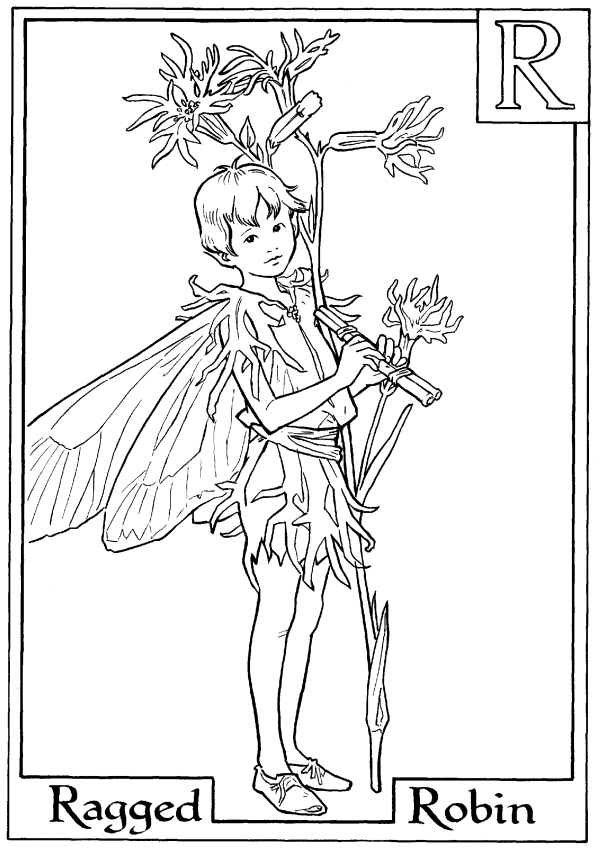 Letter R For Ragged Robin Flower Fairy Coloring Page - Alphabet ...